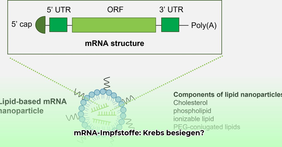 mrna-impfstoff-krebs